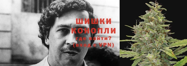 не бодяженный Лагань