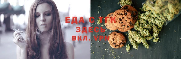 индика Краснотурьинск