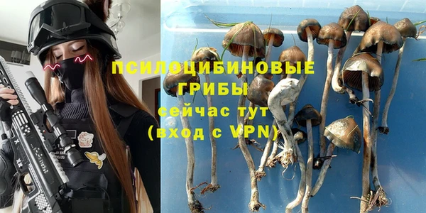не бодяженный Лагань