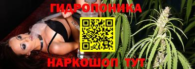 ECSTASY Усть-Илимск