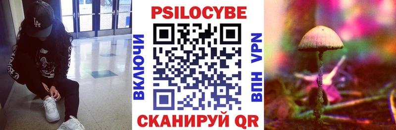 Галлюциногенные грибы Cubensis  закладки  Луга 