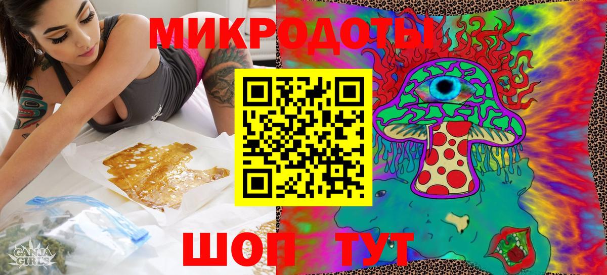 Галлюциногенные грибы Psilocybine cubensis Луга