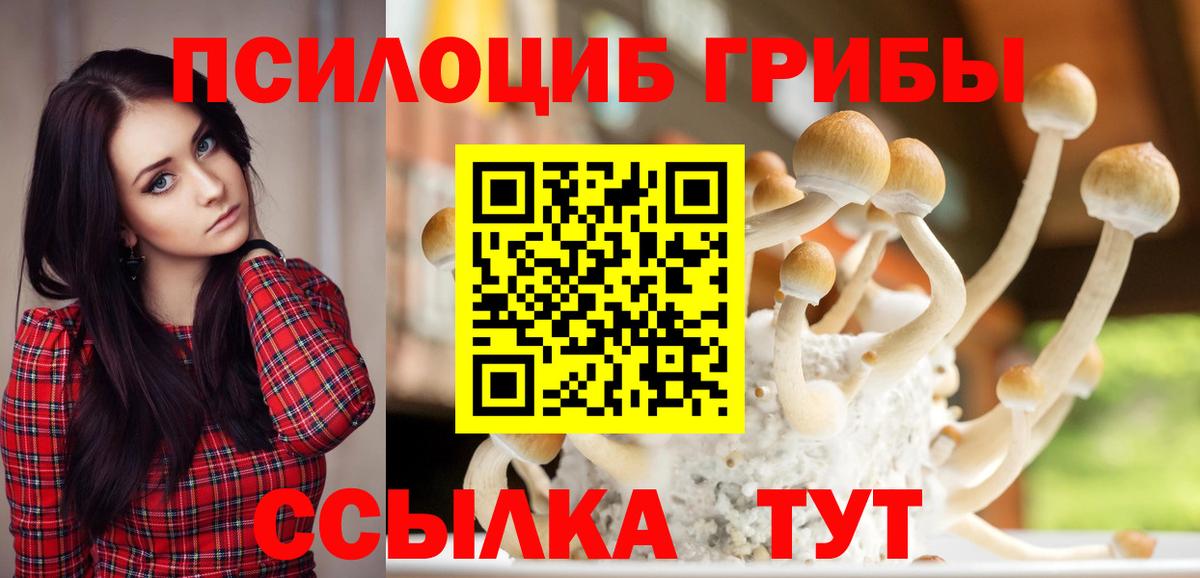 Псилоцибиновые грибы ЛСД  Вход с VPN  Псилоцибиновые грибы Psilocybine cubensis  Луга 